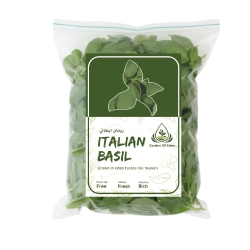 Italian Basil